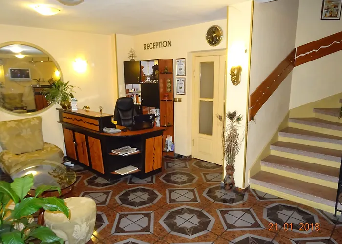 Hotel mit Hund Color